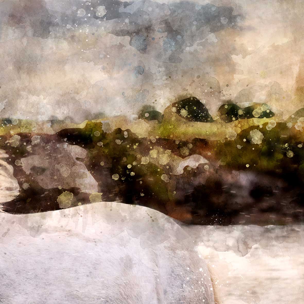 و العاديات ضبحا