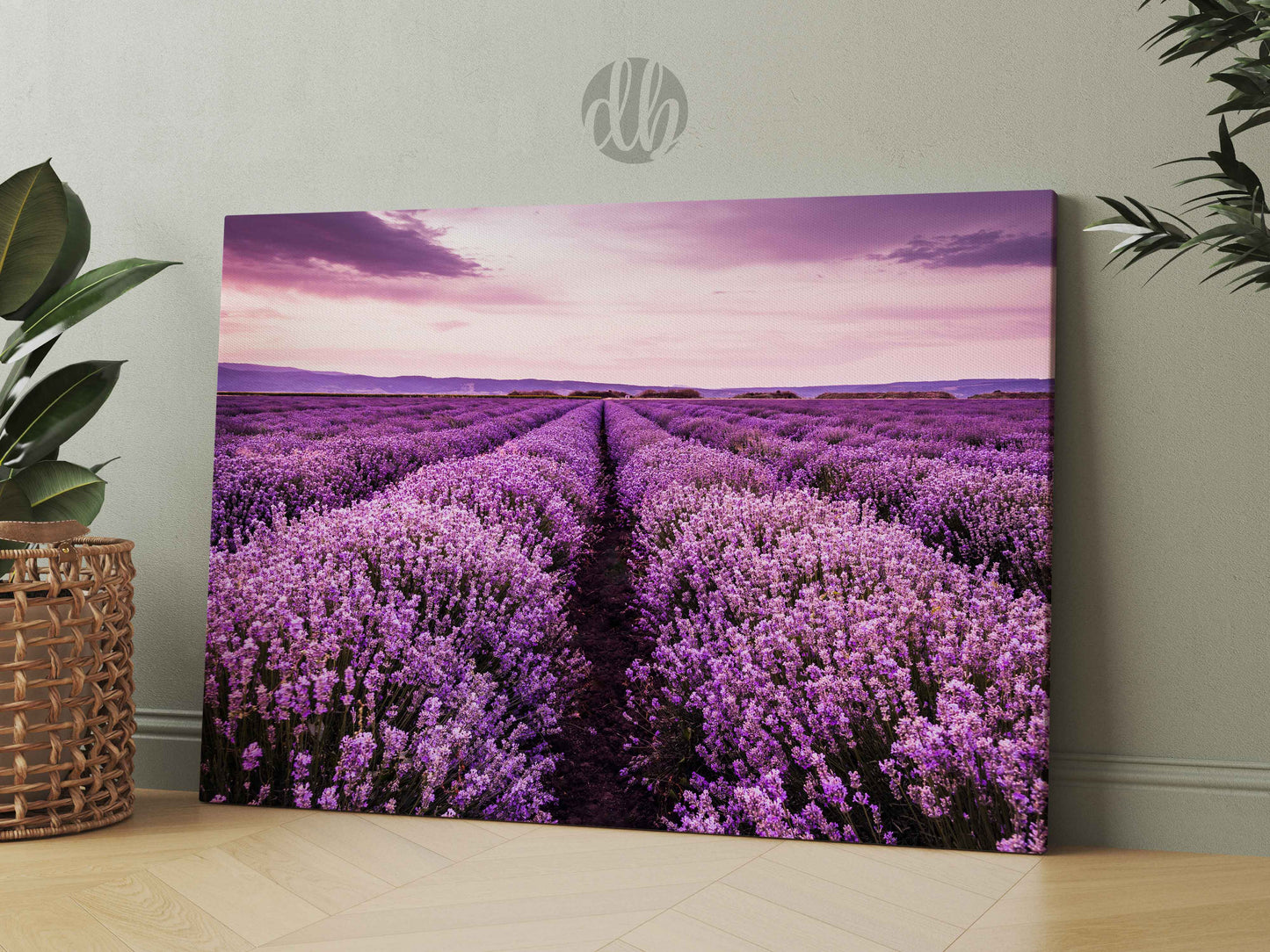 Blooming Lavender Field